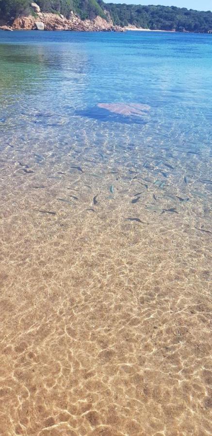 לה מדלנה Appartamento Bluewater מראה חיצוני תמונה